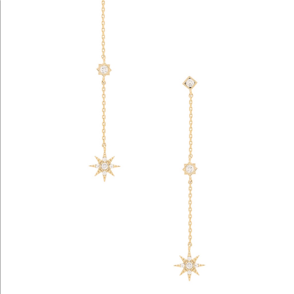 Revolve Stardust Earrings